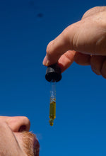 Load image into Gallery viewer, Hemp Oil Infusion with Coconut Oil (MCT) | 50ml